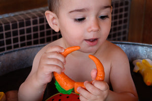 Oli & Carol Kids toys Cathy The Carrot - Ever Simplicity