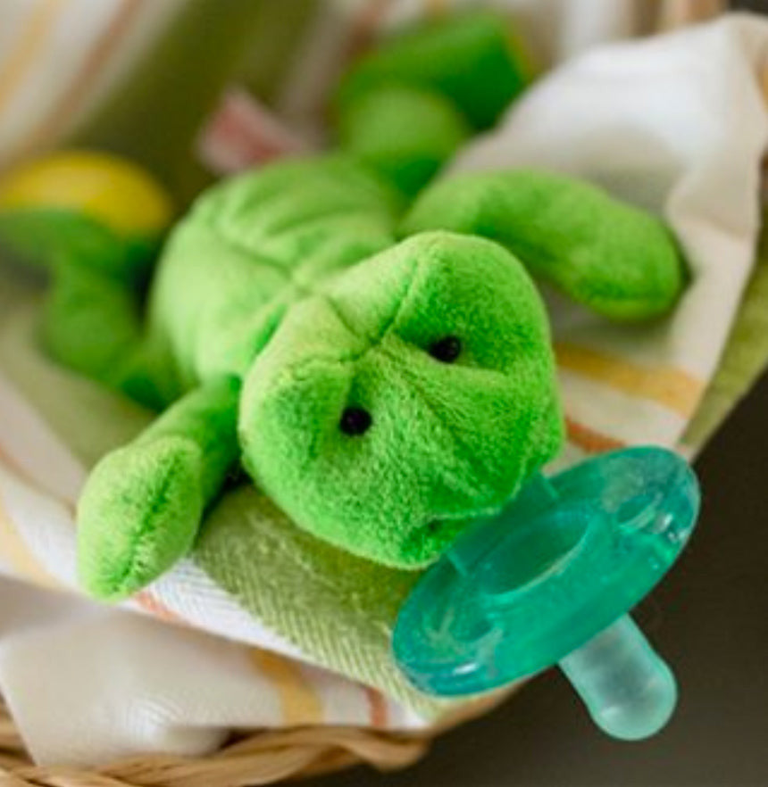 WubbaNub Kids Toys Frog Pacifier - Ever Simplicity