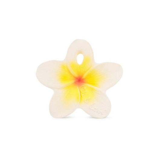 Oli & Carol Hawaii The Flower Pacifier Toy - Ever Simplicity